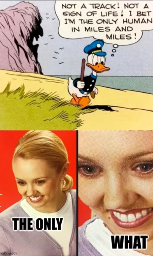 5.95/6 | image tagged in balls | made w/ Imgflip meme maker