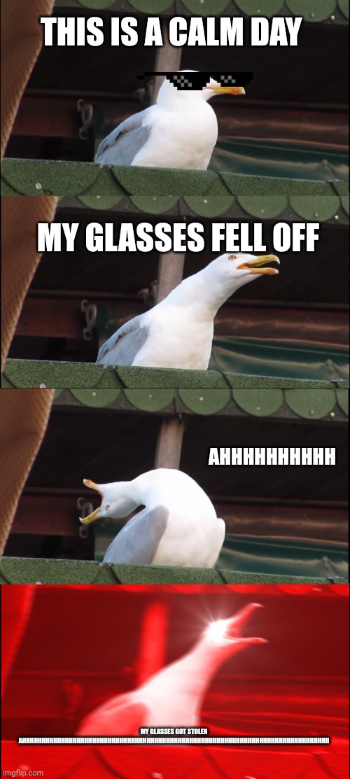 Inhaling Seagull | THIS IS A CALM DAY; MY GLASSES FELL OFF; AHHHHHHHHHH; MY GLASSES GOT STOLEN AHHHHHHHHHHHHHHHHHHHHHHHHHHHHHHHHHHHHHHHHHHHHHHHHHHHHHHHHHHHHHHHHHHHHHHHHHHHHHHH | image tagged in memes,inhaling seagull | made w/ Imgflip meme maker