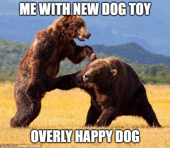 Punching Bear | ME WITH NEW DOG TOY; OVERLY HAPPY DOG | image tagged in punching bear | made w/ Imgflip meme maker