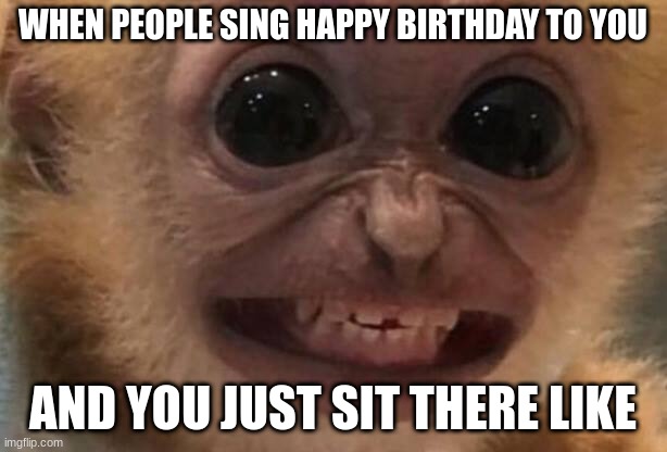 Monkey | WHEN PEOPLE SING HAPPY BIRTHDAY TO YOU; AND YOU JUST SIT THERE LIKE | image tagged in monkey | made w/ Imgflip meme maker