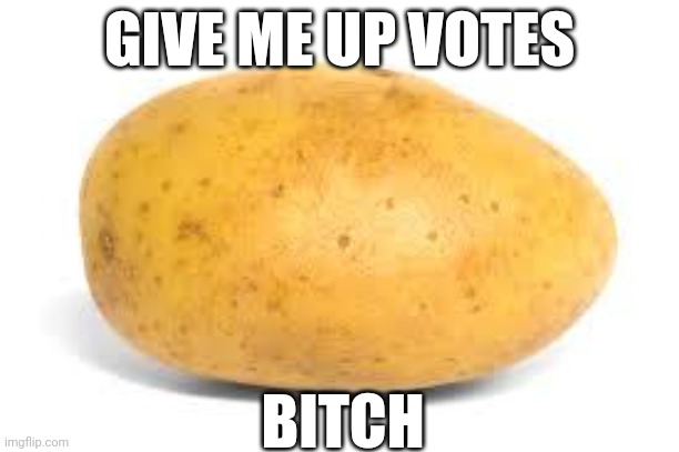 Potato | GIVE ME UP VOTES; BITCH | image tagged in potato | made w/ Imgflip meme maker