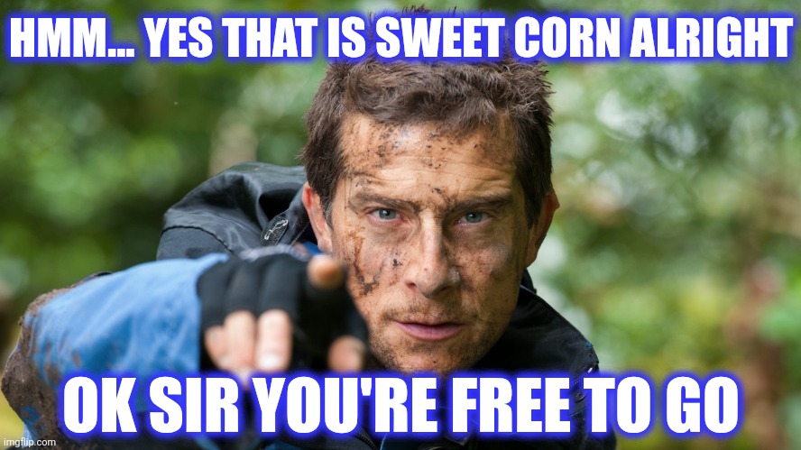 Bear Grylls | HMM... YES THAT IS SWEET CORN ALRIGHT OK SIR YOU'RE FREE TO GO | image tagged in bear grylls | made w/ Imgflip meme maker