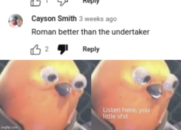 LIAR! | image tagged in listen here you little shit bird | made w/ Imgflip meme maker