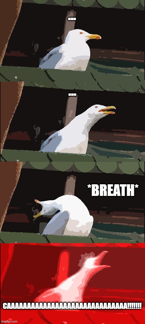 DONKEY | ... ... *BREATH*; CAAAAAAAAAAAAAAAAAAAAAAAAAAAAAA!!!!!!! | image tagged in memes,inhaling seagull | made w/ Imgflip meme maker