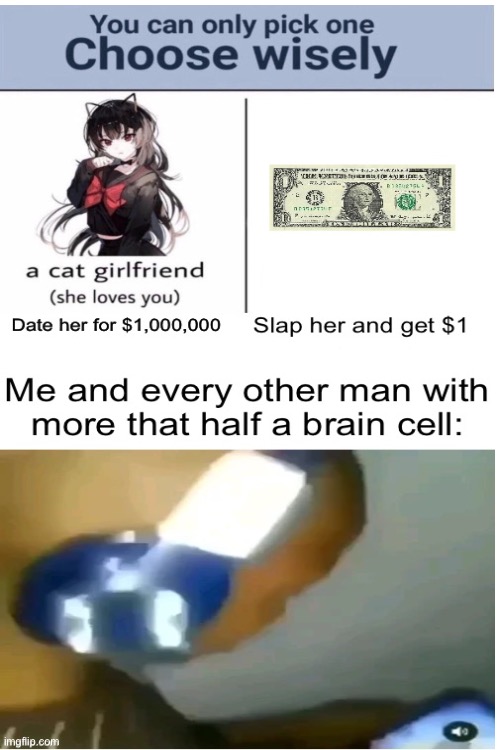 Facts | image tagged in anime trash,no simping,i like ya cut g | made w/ Imgflip meme maker