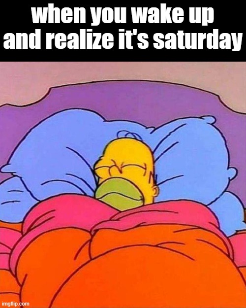 Meme #341 | when you wake up and realize it's saturday | image tagged in homer napping,the simpsons,saturday,no school,memes,relatable | made w/ Imgflip meme maker