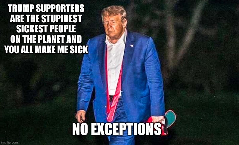 Defeated Trump Meme | TRUMP SUPPORTERS ARE THE STUPIDEST SICKEST PEOPLE ON THE PLANET AND YOU ALL MAKE ME SICK; NO EXCEPTIONS | image tagged in defeated trump meme | made w/ Imgflip meme maker