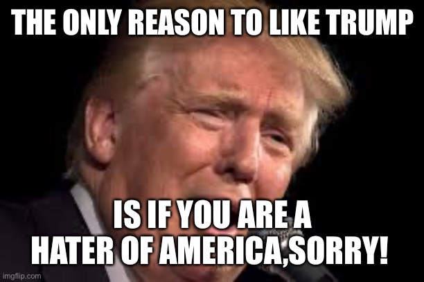 Donald Trump sad | THE ONLY REASON TO LIKE TRUMP; IS IF YOU ARE A HATER OF AMERICA,SORRY! | image tagged in donald trump sad | made w/ Imgflip meme maker