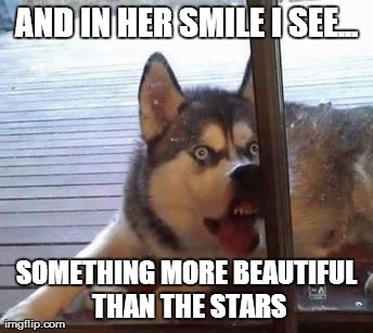 AND IN HER SMILE I SEE... SOMETHING MORE BEAUTIFUL THAN THE STARS | made w/ Imgflip meme maker