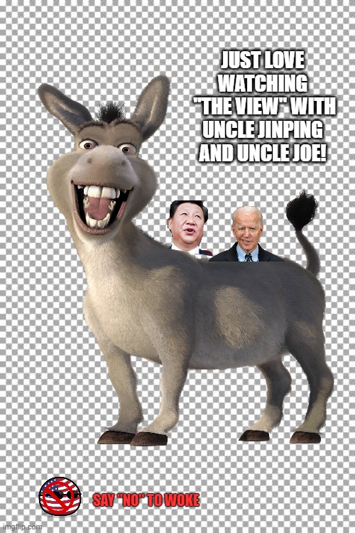 Watching "The View" | JUST LOVE WATCHING
 "THE VIEW" WITH UNCLE JINPING AND UNCLE JOE! SAY "NO" TO WOKE | image tagged in the view,biden,xi jinping,liberals,republicans,democratic socialism | made w/ Imgflip meme maker