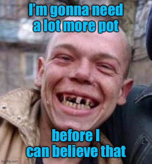 Crack Head | I’m gonna need a lot more pot before I can believe that | image tagged in crack head | made w/ Imgflip meme maker