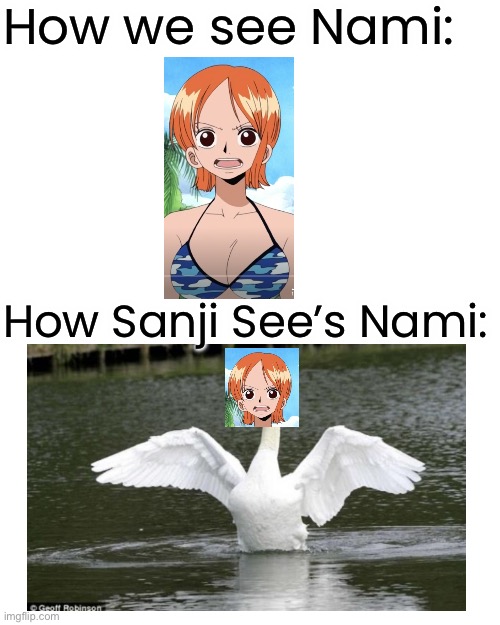 One Piece POV Meme Part 2: Nami-swan | How we see Nami:; How Sanji See’s Nami: | image tagged in nami,memes,sanji,one piece,how we see how they see,swan | made w/ Imgflip meme maker