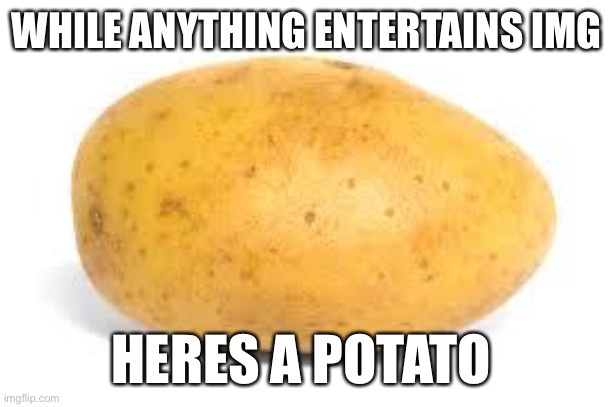 Potato | WHILE ANYTHING ENTERTAINS IMG; HERES A POTATO | image tagged in potato | made w/ Imgflip meme maker