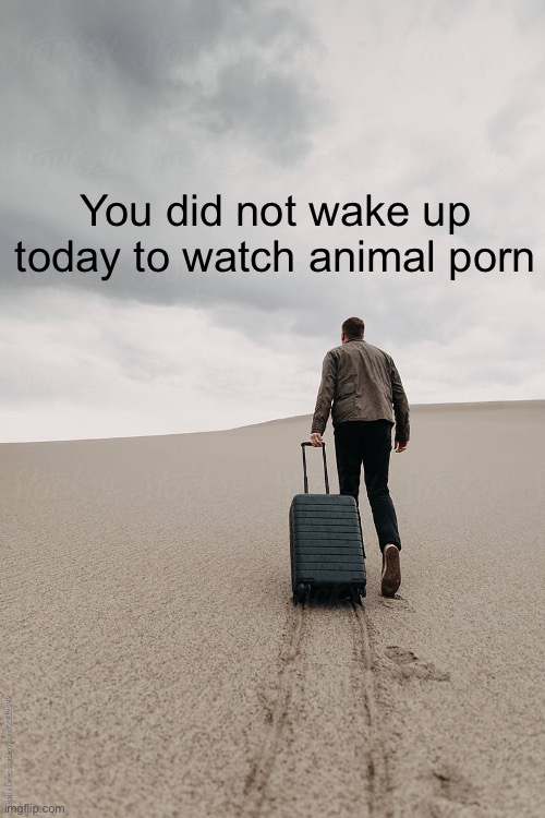 Solitary man walking | You did not wake up today to watch animal porn | image tagged in solitary man walking | made w/ Imgflip meme maker