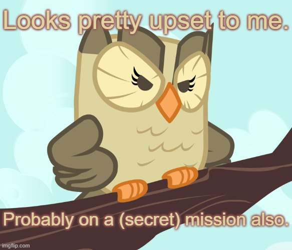 Scowl Owl 3 | Looks pretty upset to me. Probably on a (secret) mission also. | image tagged in scowled owlowiscious mlp,angry,bird,angry bird | made w/ Imgflip meme maker