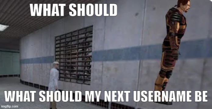 Gordon Freeman bunnyhopping | WHAT SHOULD; WHAT SHOULD MY NEXT USERNAME BE | image tagged in gordon freeman bunnyhopping | made w/ Imgflip meme maker