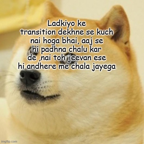 Doge | Ladkiyo ke transition dekhne se kuch nai hoga bhai, aaj se hi padhna chalu kar de ,nai toh jeevan ese hi andhere me chala jayega | image tagged in memes,doge | made w/ Imgflip meme maker
