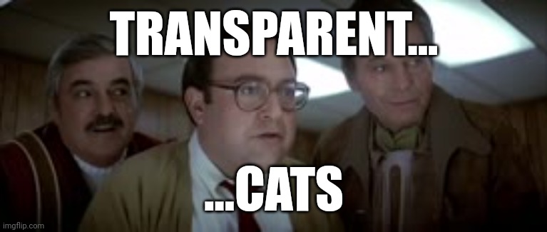 Cats | TRANSPARENT... ...CATS | image tagged in transparent aluminum that's ticket laddie star trek voyage home | made w/ Imgflip meme maker