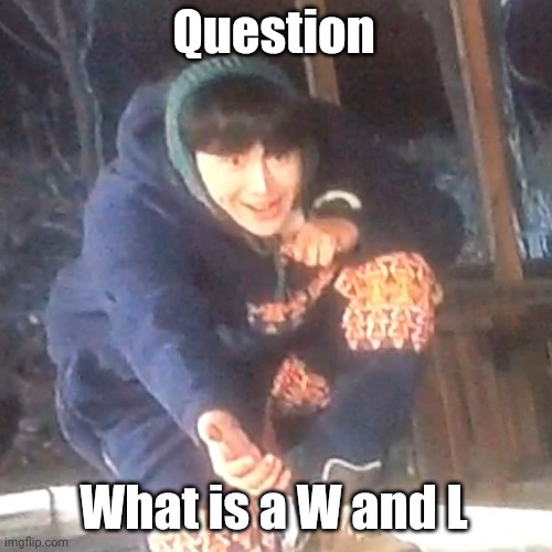 Please answer | Question; What is a W and L | image tagged in w | made w/ Imgflip meme maker