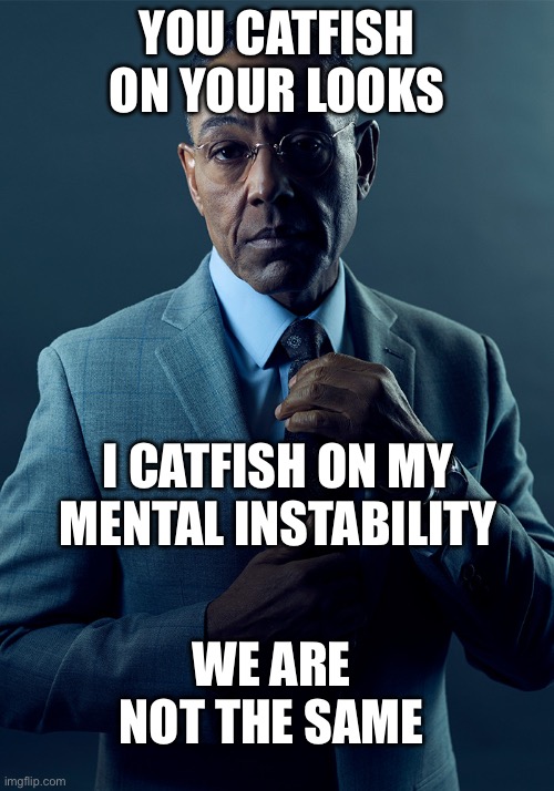 Catfishing | YOU CATFISH ON YOUR LOOKS; I CATFISH ON MY MENTAL INSTABILITY; WE ARE NOT THE SAME | image tagged in we are not the same,looks,mental instability,catfish | made w/ Imgflip meme maker