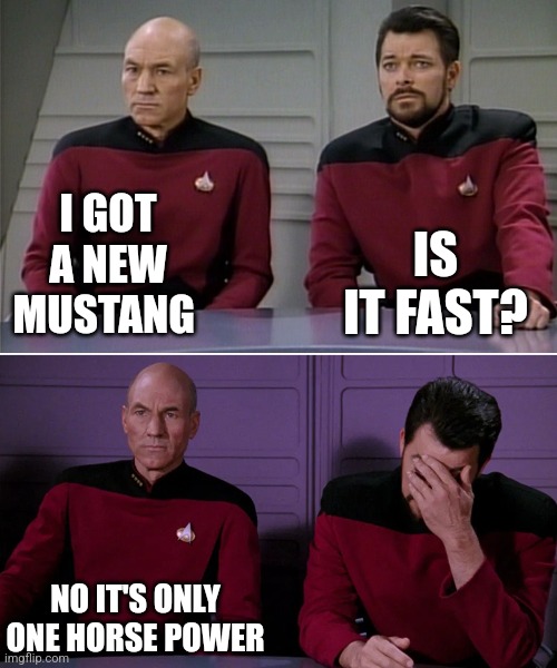 Picard Riker listening to a pun | I GOT A NEW MUSTANG; IS IT FAST? NO IT'S ONLY ONE HORSE POWER | image tagged in picard riker listening to a pun | made w/ Imgflip meme maker