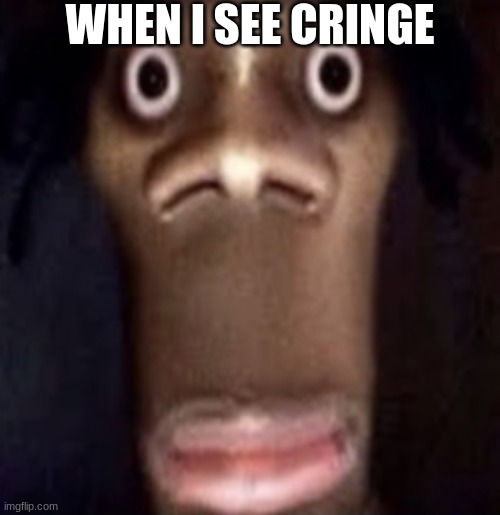 quandale dingle | WHEN I SEE CRINGE | image tagged in quandale dingle | made w/ Imgflip meme maker