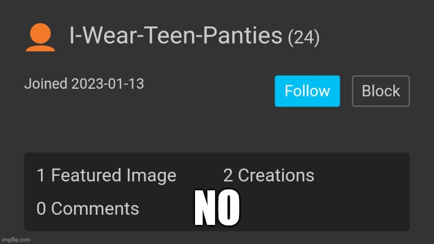 NO | made w/ Imgflip meme maker