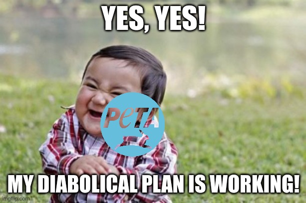 Evil Toddler Meme | YES, YES! MY DIABOLICAL PLAN IS WORKING! | image tagged in memes,evil toddler | made w/ Imgflip meme maker