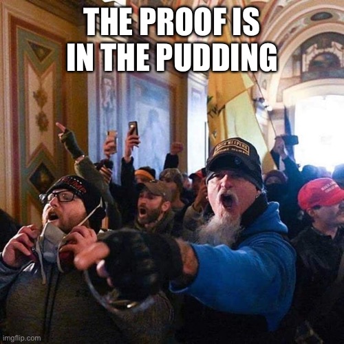 Capitol Traitors | THE PROOF IS IN THE PUDDING | image tagged in capitol traitors | made w/ Imgflip meme maker