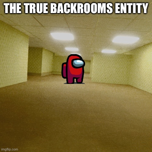 I don’t know | THE TRUE BACKROOMS ENTITY | image tagged in backrooms | made w/ Imgflip meme maker