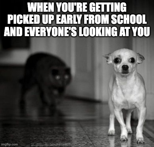maybe this is just me idk | WHEN YOU'RE GETTING PICKED UP EARLY FROM SCHOOL AND EVERYONE'S LOOKING AT YOU | image tagged in paranoid | made w/ Imgflip meme maker