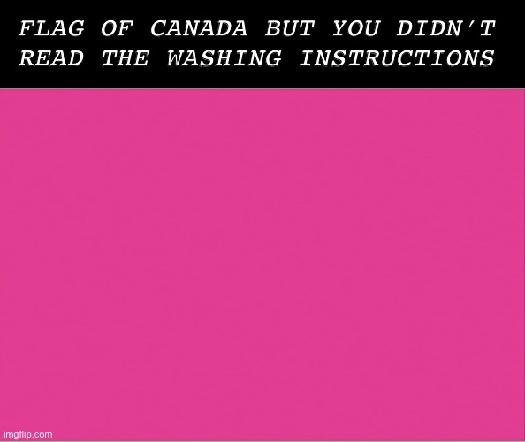 POV: you suck at washing flags | FLAG OF CANADA BUT YOU DIDN’T READ THE WASHING INSTRUCTIONS | image tagged in pov,flags,canada,washing,pink,you suck | made w/ Imgflip meme maker