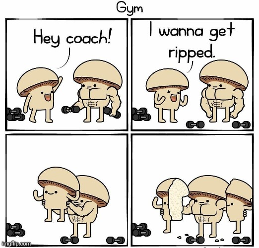 A ripped mushroom at the gym | image tagged in mushrooms,mushroom,ripped,gym,comics,comics/cartoons | made w/ Imgflip meme maker