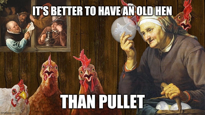 don't pullet | IT'S BETTER TO HAVE AN OLD HEN; THAN PULLET | image tagged in funny memes | made w/ Imgflip meme maker