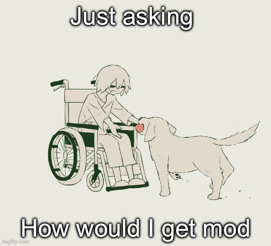 Avogado6 | Just asking; How would I get mod | image tagged in avogado6 | made w/ Imgflip meme maker