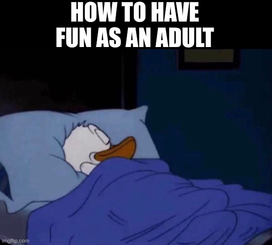 Sleeping Donald Duck | HOW TO HAVE FUN AS AN ADULT | image tagged in sleeping donald duck | made w/ Imgflip meme maker