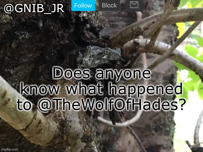 She/He/They disappeared | Does anyone know what happened to @TheWolfOfHades? | image tagged in gnib_jr's main template | made w/ Imgflip meme maker
