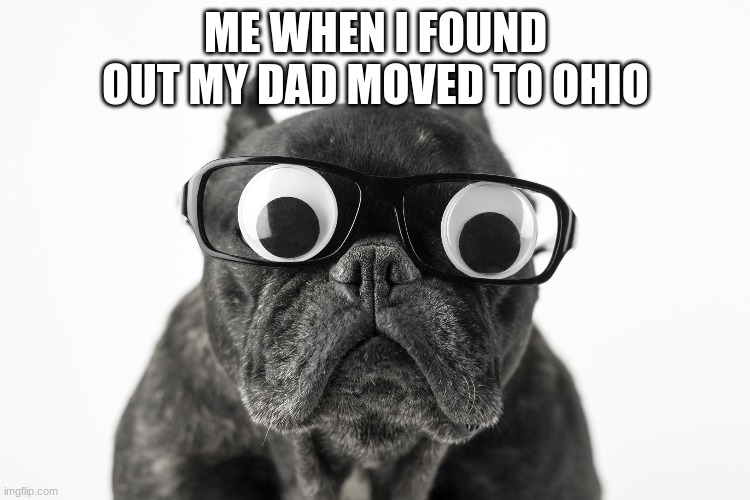 MEME | ME WHEN I FOUND OUT MY DAD MOVED TO OHIO | image tagged in funny memes | made w/ Imgflip meme maker