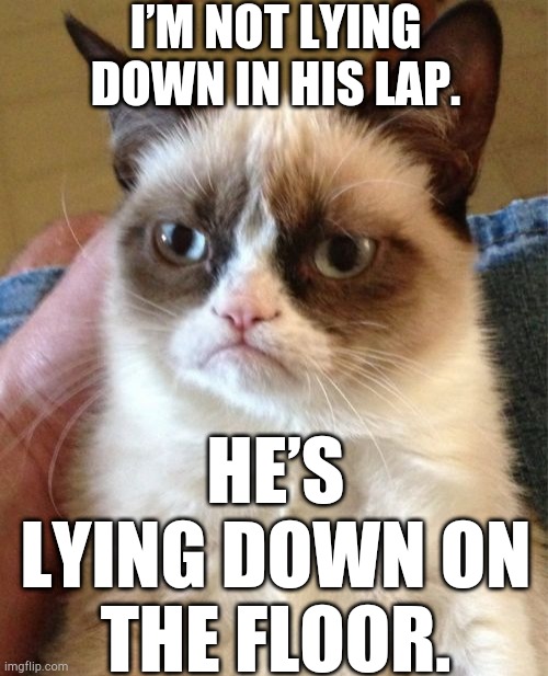 Felis deadpanus | I’M NOT LYING DOWN IN HIS LAP. HE’S LYING DOWN ON THE FLOOR. | image tagged in memes,grumpy cat | made w/ Imgflip meme maker