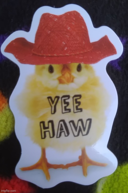 YEE HAW | made w/ Imgflip meme maker