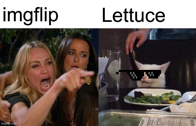 lettuce is getting personal | imgflip; Lettuce | image tagged in memes,woman yelling at cat,lettuce | made w/ Imgflip meme maker