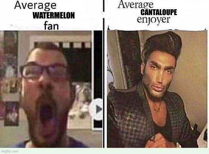 cantaloupe is just superior | CANTALOUPE; WATERMELON | image tagged in average blank fan vs average blank enjoyer | made w/ Imgflip meme maker