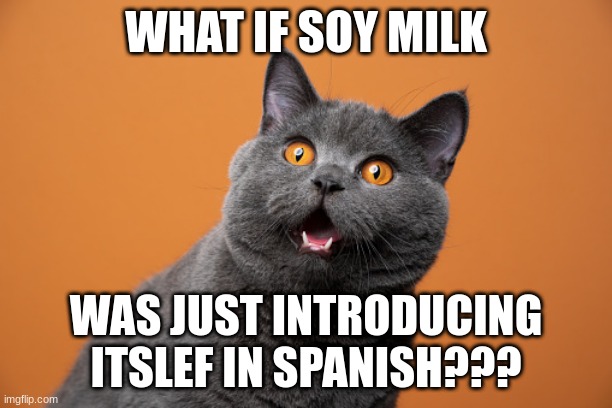 what if... | WHAT IF SOY MILK; WAS JUST INTRODUCING ITSLEF IN SPANISH??? | image tagged in funny memes | made w/ Imgflip meme maker