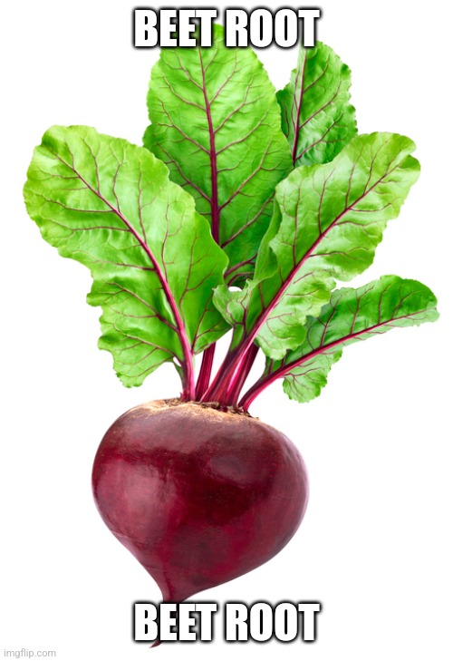 Beet root | BEET ROOT; BEET ROOT | image tagged in vegetables | made w/ Imgflip meme maker