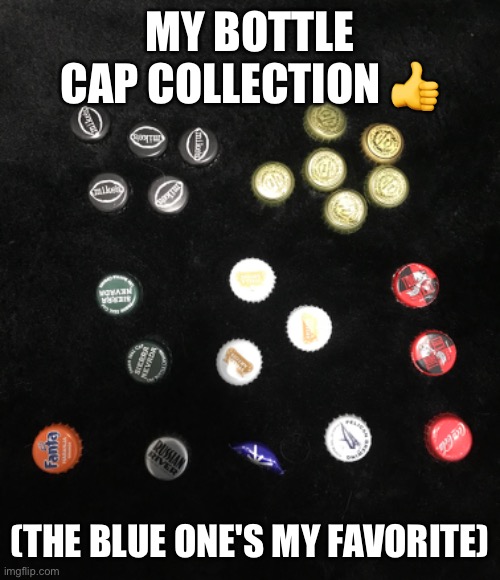 MY BOTTLE CAP COLLECTION 👍; (THE BLUE ONE'S MY FAVORITE) | made w/ Imgflip meme maker