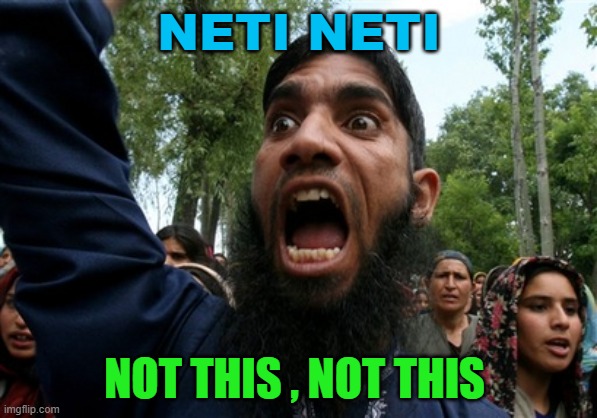 NETI NETI: NOT THIS, NOT THIS | NETI NETI; NOT THIS , NOT THIS | image tagged in rageboy screaming islamist | made w/ Imgflip meme maker