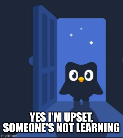 Duolingo bird | YES I'M UPSET, SOMEONE'S NOT LEARNING | image tagged in duolingo bird | made w/ Imgflip meme maker
