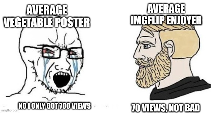 Soyjak vs Chad | AVERAGE IMGFLIP ENJOYER; AVERAGE VEGETABLE POSTER; NO I ONLY GOT 700 VIEWS; 70 VIEWS, NOT BAD | image tagged in soyjak vs chad | made w/ Imgflip meme maker