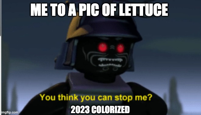 Ninjago | ME TO A PIC OF LETTUCE; 2023 COLORIZED | image tagged in ninjago | made w/ Imgflip meme maker