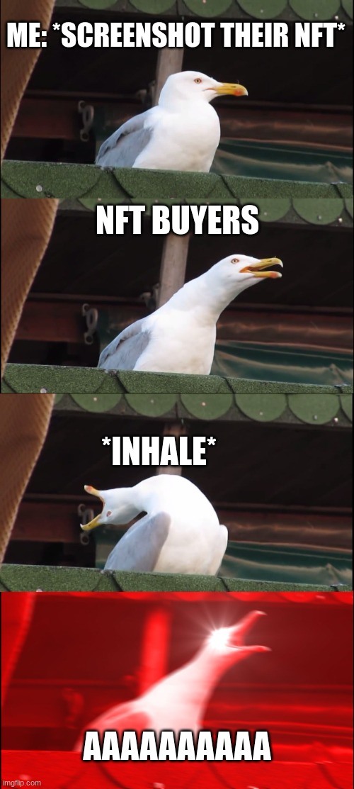 Inhaling Seagull Meme | ME: *SCREENSHOT THEIR NFT*; NFT BUYERS; *INHALE*; AAAAAAAAAA | image tagged in memes,inhaling seagull | made w/ Imgflip meme maker